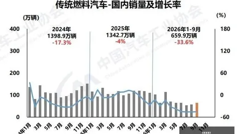 2026前瞻：奥帕瓦与古尔尼恰友谊赛深度解析
